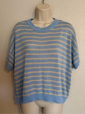 Wishlist Blue and Tan Striped Short-Sleeve oversized Sweater